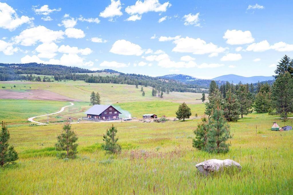 Wilderness Cabin - Eden Valley Oroville Dış mekan fotoğraf